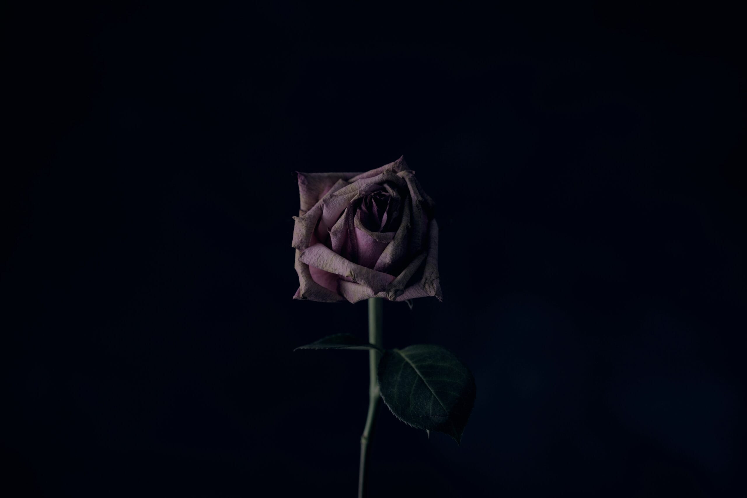 Compassionate wrongful death attorney in Burbank, California representing grieving families to secure financial justice after a fatal accident.